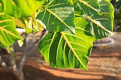 PS年中大促“Days Of Play”开启 超1300款游戏打折